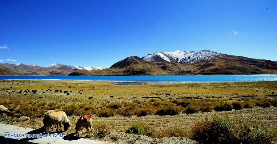 Tíbet: Paisaje de Lago Yamzho Yumco