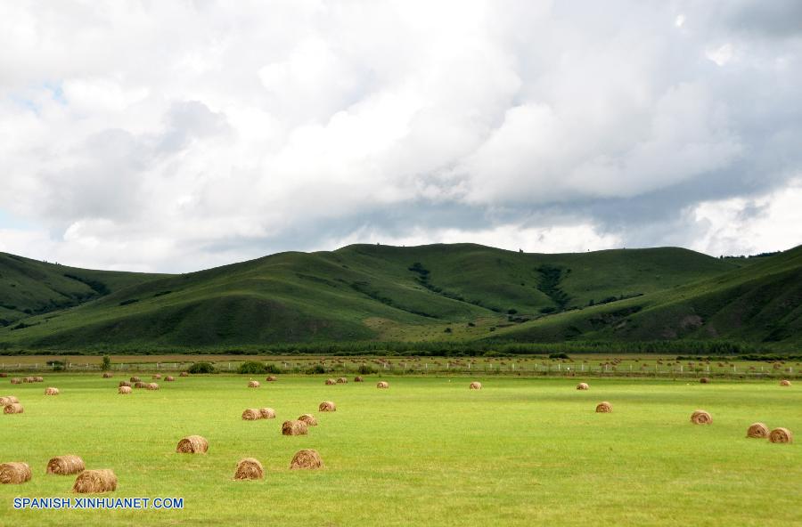 Mongolia Interior: Paisaje de pasto en Hulun Buir en otoño