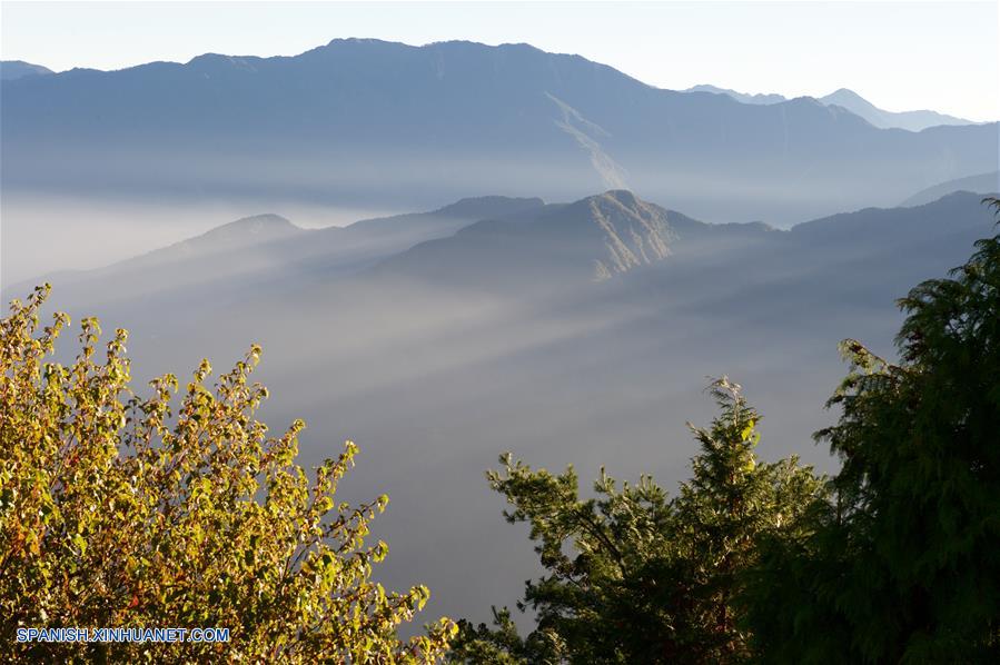 Paisaje de Montaña Ali en Taiwan