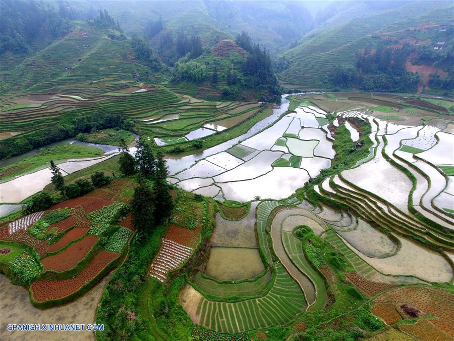 Vista aérea de las terrazas de la villa Bainai, en el municipio de Bakai, en el condado de Rongjiang, en la provincia de Guizhou, en el suroeste de China
