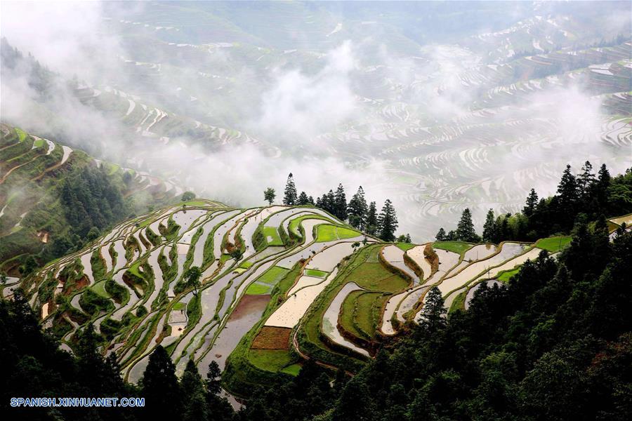 Guangxi: Paisaje de terrazas cubiertas por niebla en aldea de Fengmu