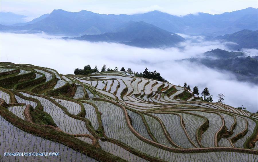 Guangxi: Paisaje de terrazas cubiertas por niebla en aldea de Fengmu