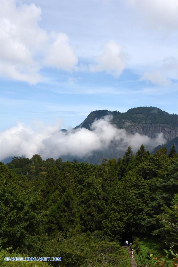 Taiwan: Paisaje de Montaña Ali en Jiayi 