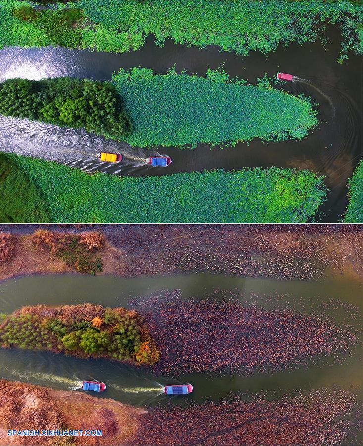 Imagen combinada del 21 de julio de 2016 (arriba) y del 17 de noviembre de 2016 (abajo) del paisaje de verano e invierno en el parque del humedal del Canal Tai'erzhuang, en la ciudad de Zaozhuang, en la provincia de Shandong, en el este de China.
