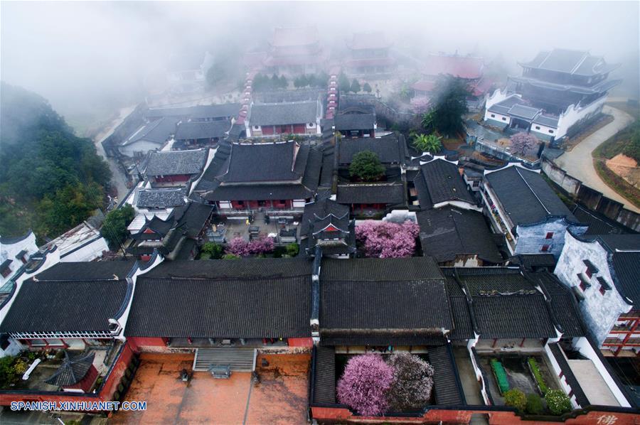 Fujian: Flores de ciruela en el templo Linyang en Fuzhou