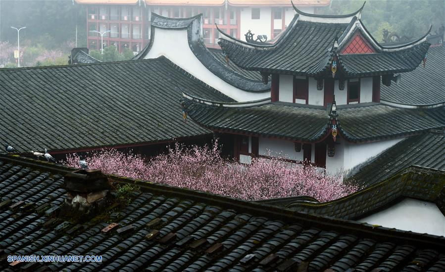 Fujian: Flores de ciruela en el templo Linyang en Fuzhou