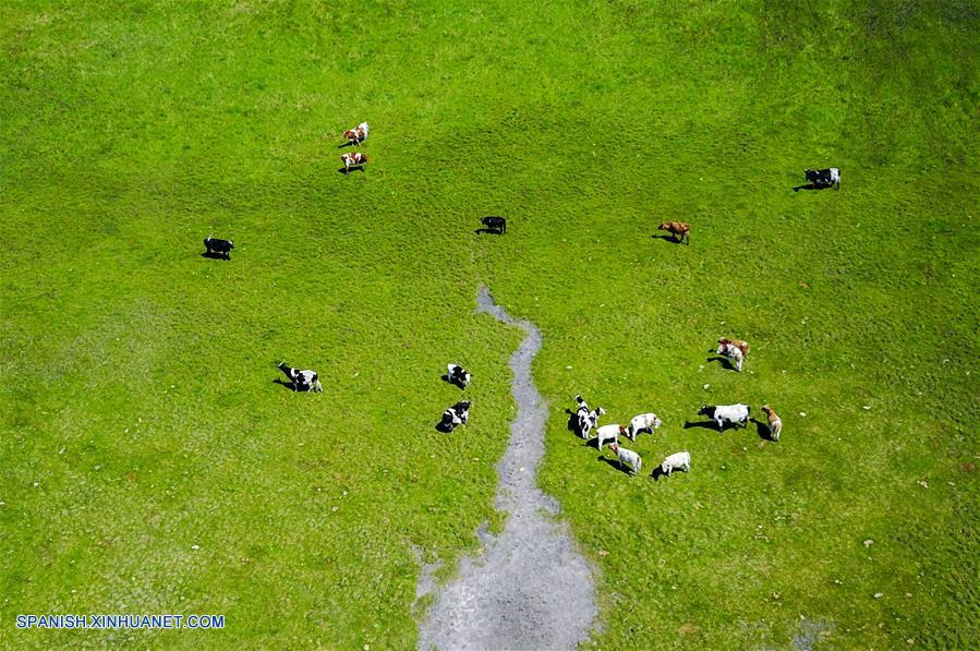 (2)CHINA-HULUN BUIR-MEDIO AMBIENTE-PAISAJE 