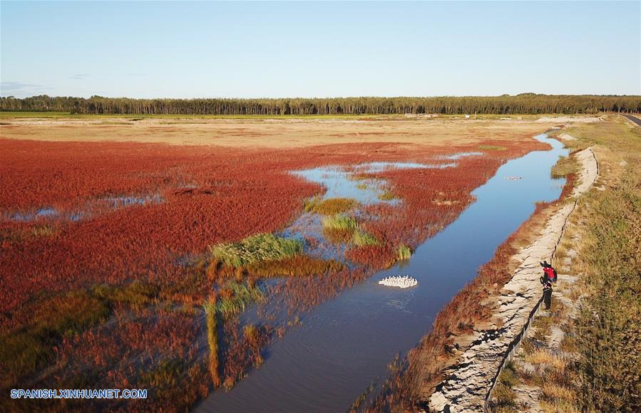 (3)CHINA-JILIN-MEDIO AMBIENTE-HUMEDAL