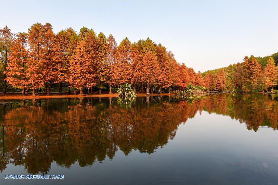 (2)CHINA-NANJING-MEDIO AMBIENTE-PAISAJE