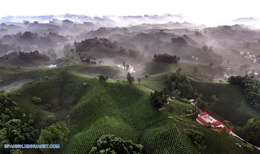 (2)CHINA-HENAN-TURISMO-SERIE