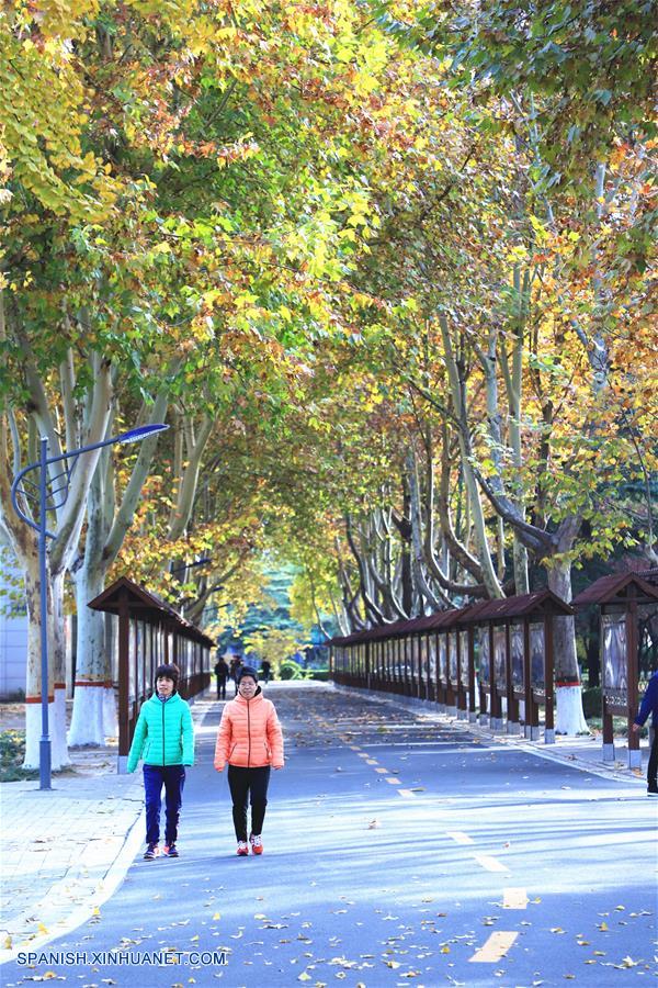 CHINA-HEBEI-PAISAJE INVERNAL