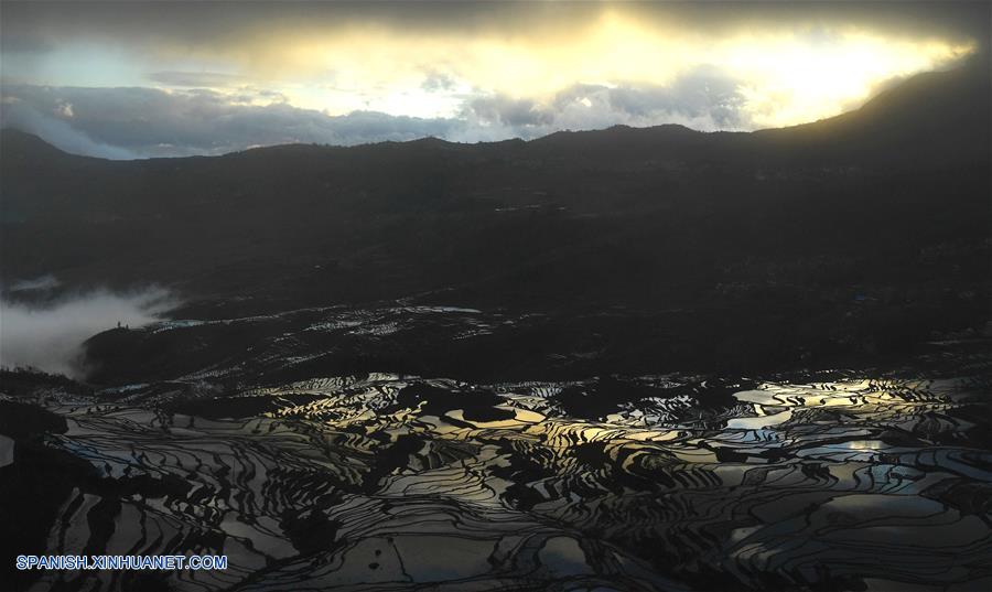 CHINA-YUNNAN-CAMPOS DE TERRAZA