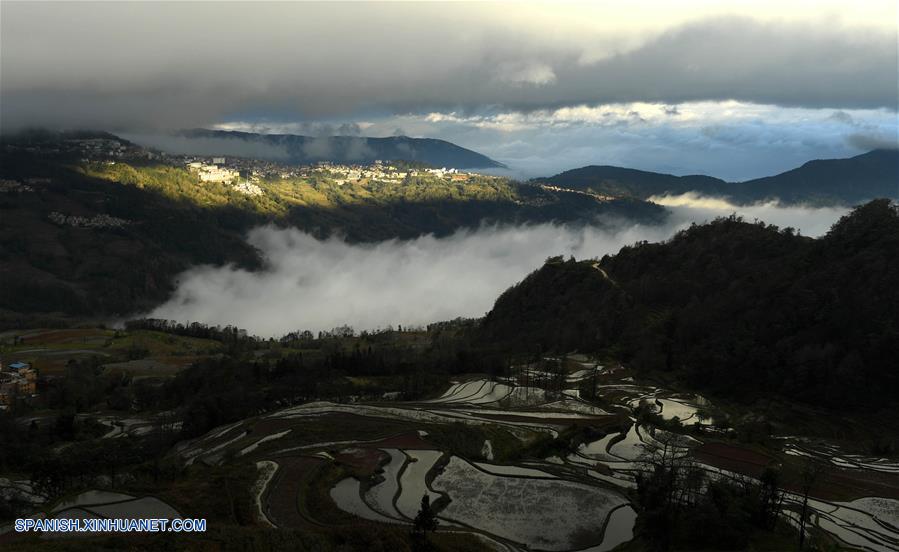 CHINA-YUNNAN-CAMPOS DE TERRAZA