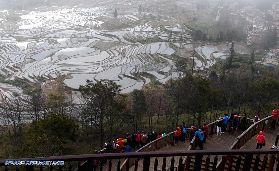 CHINA-YUNNAN-CAMPOS DE TERRAZA