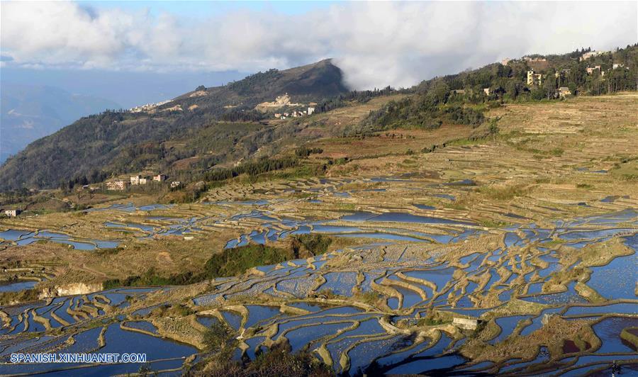 CHINA-YUNNAN-CAMPOS DE TERRAZA