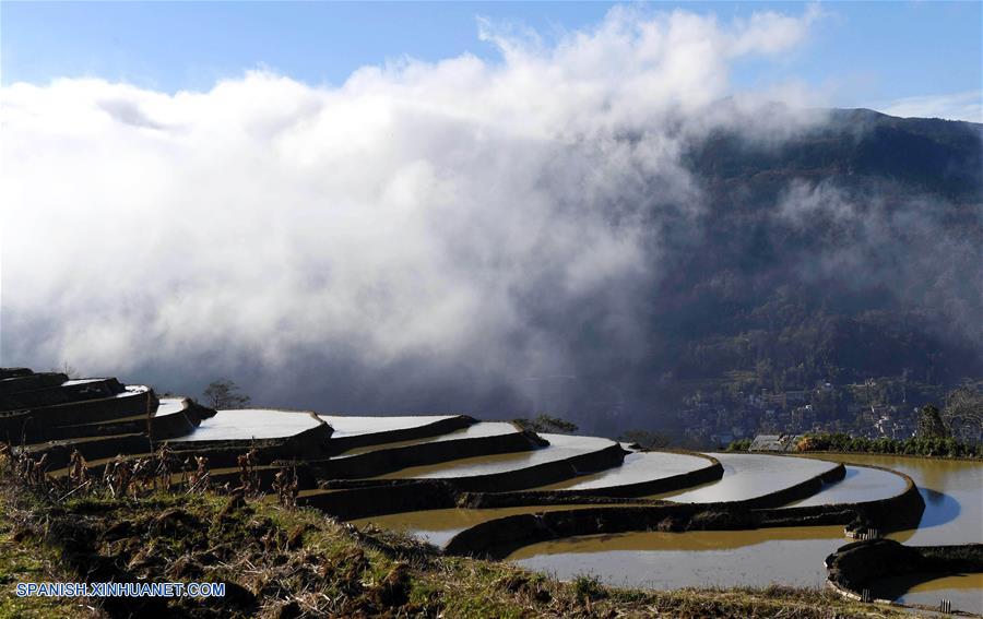 CHINA-YUNNAN-CAMPOS DE TERRAZA