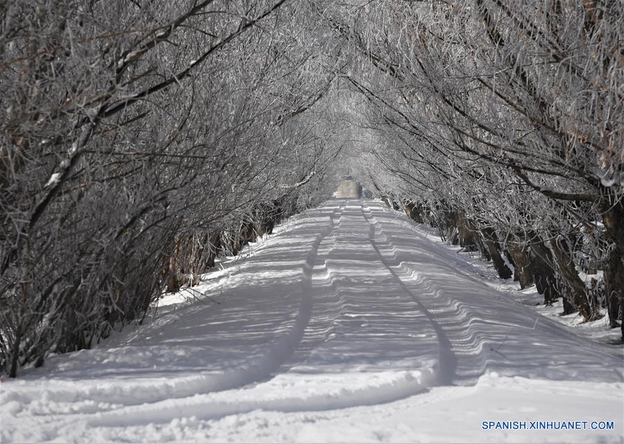 CHINA-RIO YARLUNG ZANGBO-INVIERNO-PAISAJE