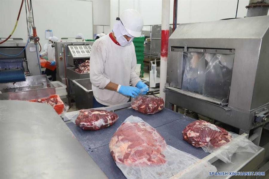 PANAMA-LAS TABLAS-CHINA-CARNE BOVINA-EXPORTACION