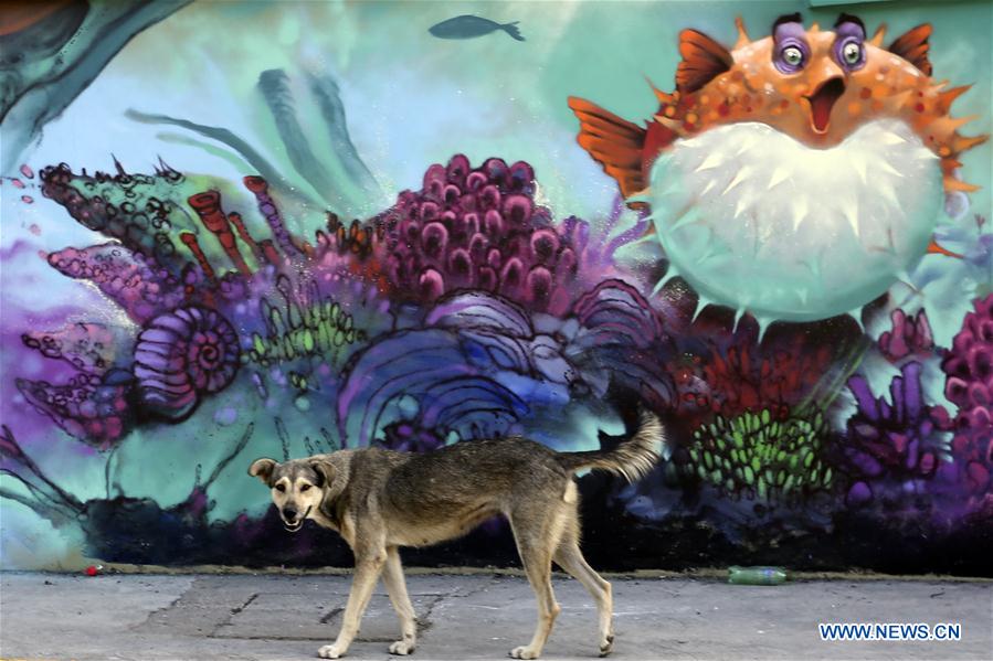 HONDURAS-CANTARRANAS-MURALES