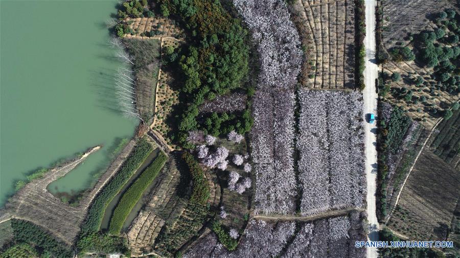 CHINA-ANHUI-ALIVIO DE LA POBREZA-ECONOMIA VERDE