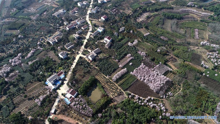 CHINA-ANHUI-ALIVIO DE LA POBREZA-ECONOMIA VERDE