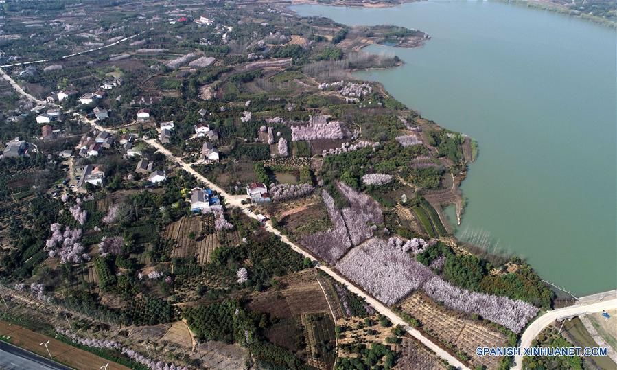 CHINA-ANHUI-ALIVIO DE LA POBREZA-ECONOMIA VERDE