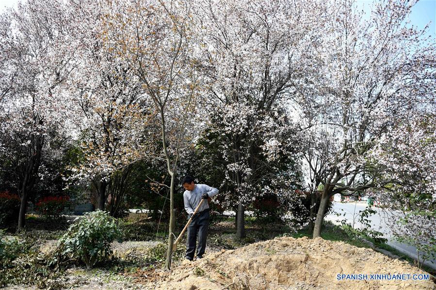 CHINA-ANHUI-ALIVIO DE LA POBREZA-ECONOMIA VERDE