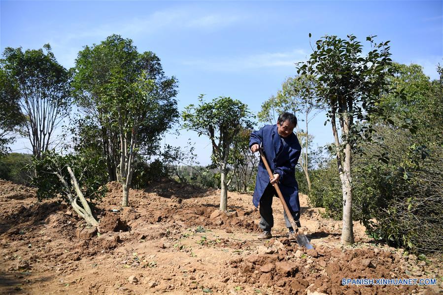 CHINA-ANHUI-ALIVIO DE LA POBREZA-ECONOMIA VERDE