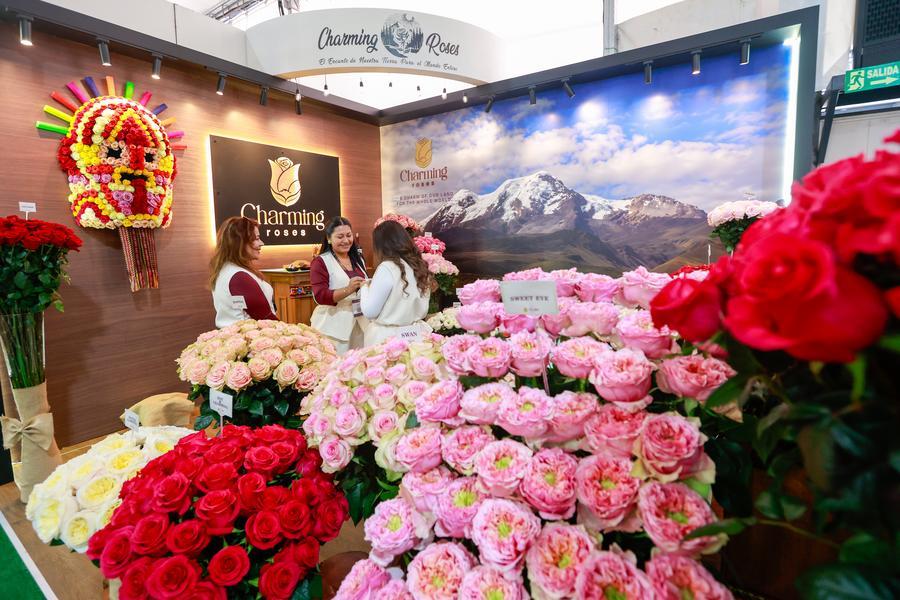 expo flor ecuador 2024
