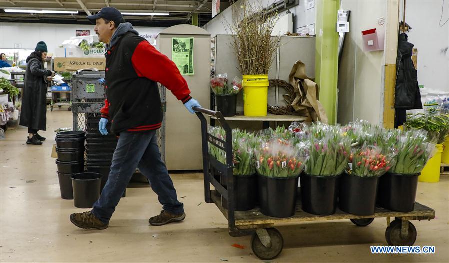 Mercado mayorista de flores en Chicago, Estados Unidos