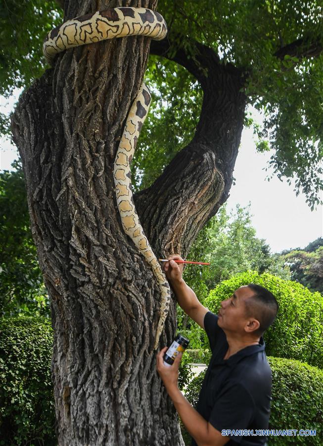 Talla hechos con cortezas de árboles en Changchun | Spanish.xinhuanet.com