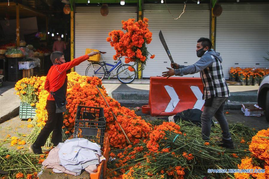 México: Vendedores y floricultores de cempasúchil antes de fiesta del Día  de los Muertos 