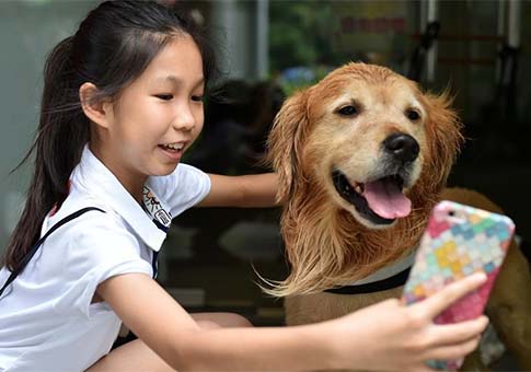 Perro detector de drogas en la Aduana de Guangzhou