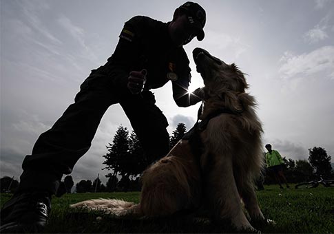 Ceremonia de reconocimiento a los caninos y equipos que le sirven a Bogotá para resaltar y reconocer el trabajo