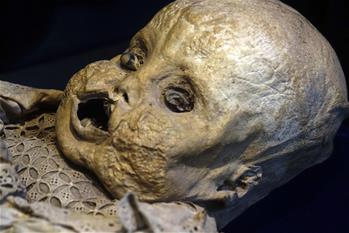 La momia exhibida en el Museo de las Momias Viajeras en Guanajuato