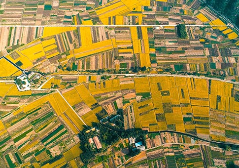 Hebei: Vista aérea de campos de arroz en aldea Baishan