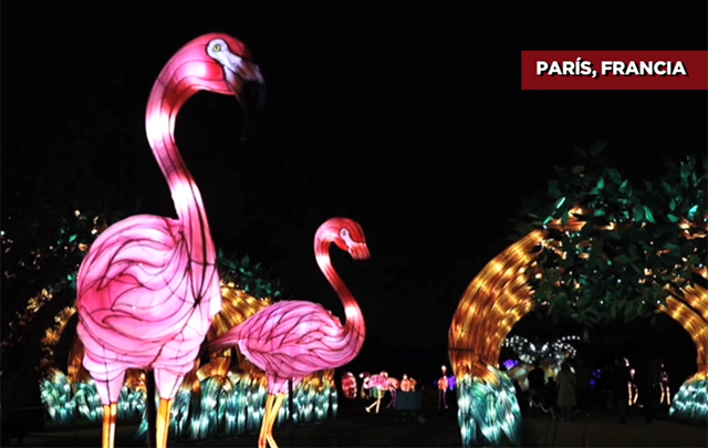 Criaturas marinas de diseño chino asombran a la capital francesa